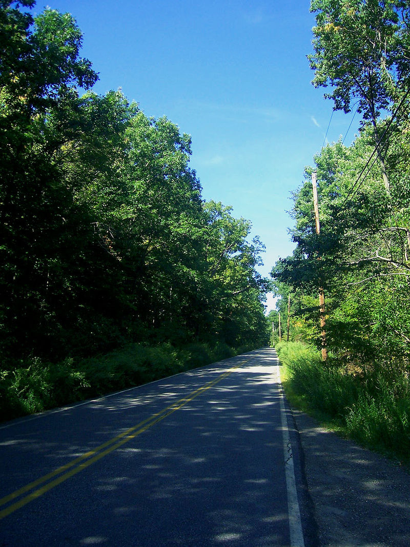 Clinton Road, foto de Daniel Case, sursa Wikipedia