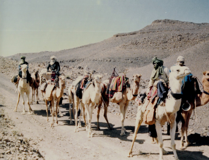 Caravană în Sahara algeriană. Sursă Hoggar, 1990. Autor Yelles C.M.A., Wikipedia.