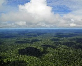 Înainte de sec.XVII, Amazonia era populată de societăţi complexe