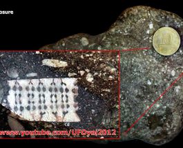 Descoperirea unui cip de acum 200 de milioane de ani