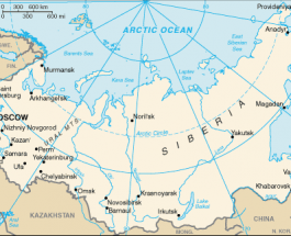 Atacată de o entitate invizibilă