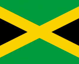 Un atac cerebral i-a procurat accent jamaican