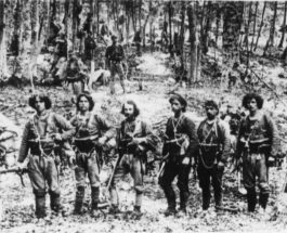 Proverb aromân despre înțelegere și înțelepciune