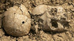 Un craniu de 40.000 de ani perforat de un glonte
