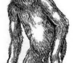 Zana, alma din Georgia