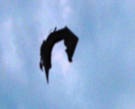 OZN straniu filmat cu celularul lângă o pădure din Germania