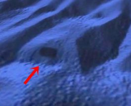 Noi suntem stăpânii planetei?